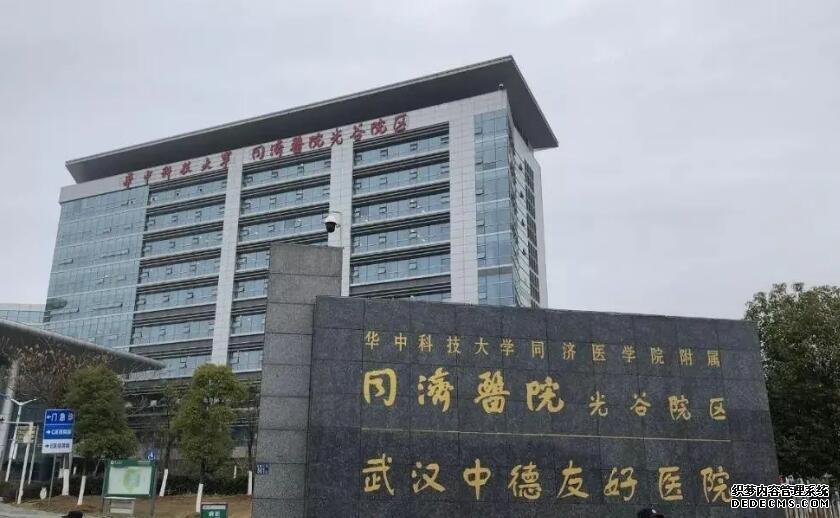 上海的合法供卵 2022上海东方医院试管婴儿费用明细 ‘29*29*14孕囊男孩还是女孩’