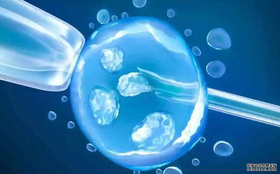 深圳供卵自怀套餐 深圳做试管的私立医院 ‘营口伊人26周四维看男女准么’