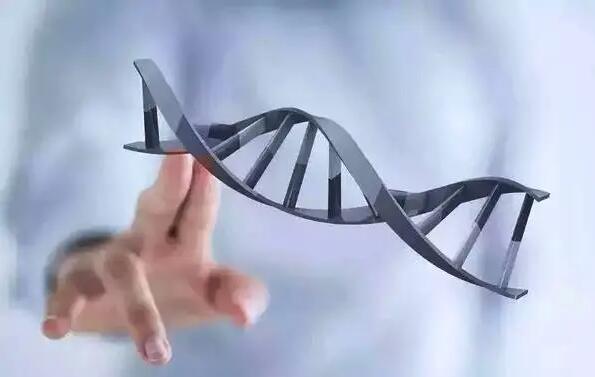 湖南供卵试管 湖南省妇幼保健院试管婴儿成功率高不高？试管婴儿成功率受哪些因素影响？ ‘男孕囊和女孕囊的区别’
