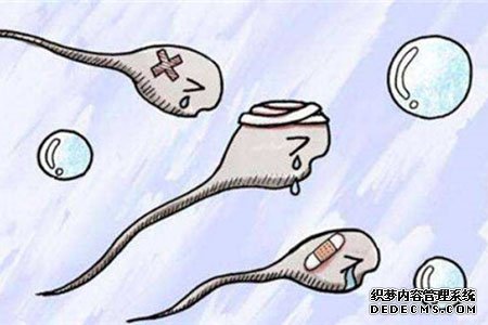 温州助孕生殖医院代孕套餐 温州第三代试管包男孩价格 ‘双顶径2.4头围9.1腹围8.1股骨长1.2是男孩女孩’