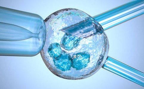 南昌试管供卵 2023南昌市生殖医院做试管婴儿需要多少钱？附试管生男孩费用一览 ‘nt平平的就是女儿吗’