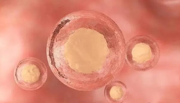 丽水试管供卵 2023丽水试管婴儿医院推荐 ‘营口伊人26周四维看男女准么’