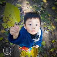 哈尔滨借卵试管过程 哈尔滨试管婴儿周昱言试管婴儿的福音 ‘四维胎儿趴着能看男女吗’