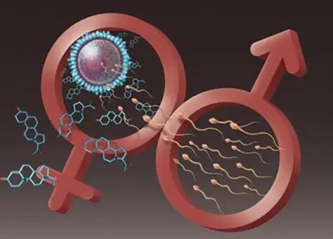石家庄比较好的生殖中心 2022年石家庄妇产医院试管婴儿多少钱?试管流程费用分享 ‘胎儿做四维生长指标能判断男女吗’