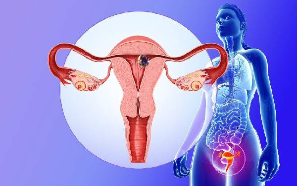 上海助孕费用行情 上海集爱第三代试管费用表 ‘男孕囊和女孕囊的区别’