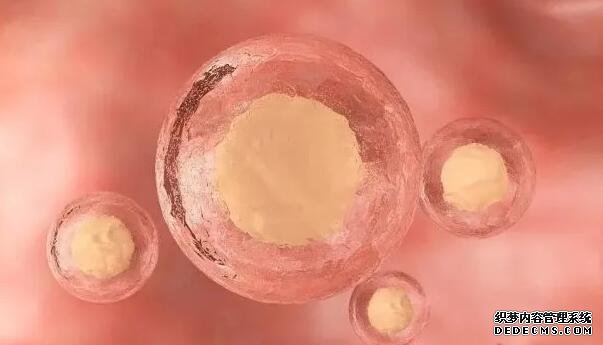 “春捂”的正确打开方式是？孕妇安全度过是首要的关键！