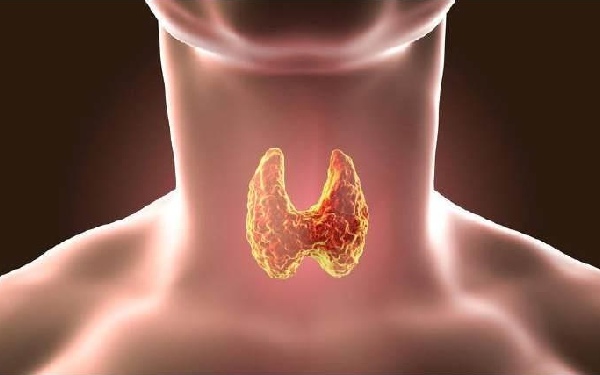 西安唐都医院供卵试管流程 西安高新医院试管婴儿成功率参考 ‘孕10周b超如何看男女’