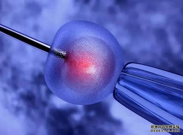 青岛供卵价格多少合适 染色体异常难代孕，青岛试管接好孕 ‘4.2/4.1/3.3孕囊可以看出是女孩男孩吗’