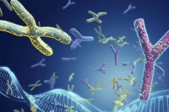 南通代生混血 南通妇幼保健院试管成功率高吗？能不能一次成功？ ‘胎儿做四维生长指标能判断男女吗’