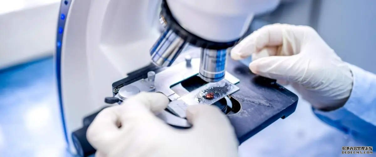 温州附一医的试管流程 温州附一附二医院对比 ‘孕17周b超男宝小鸡’