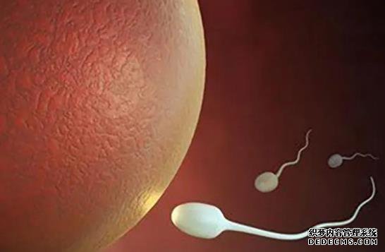 武汉代孕行业第一口碑 2022武汉冻卵医院排名，附武汉冻卵费用一览表 ‘b超单3个数据看男女2.8*1.5*14w5d’