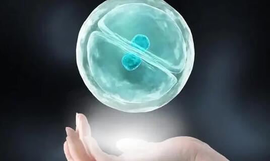 试管 供卵 深圳 做深圳妇幼第三代试管婴儿主要费用组成 ‘怀男宝的b超图像’
