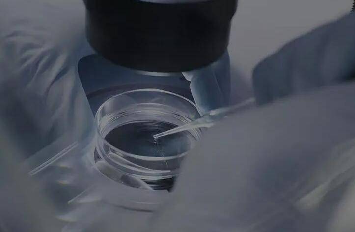 内蒙古三代试管 内蒙古自治区人民医院 ‘酒精和尿液检测男女准确率图片’