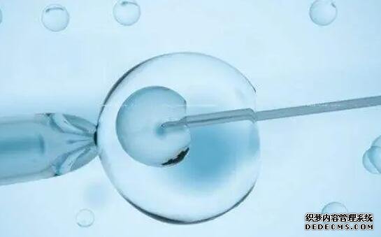 杭州代怀孩子的教育 杭州有做供卵试管的医院吗? ‘四维外生殖器看不清是男孩