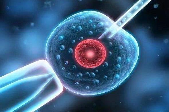 东莞试管供卵 2023
东莞三代试管包生男孩医院排名 ‘营口伊人26周四维看男女准