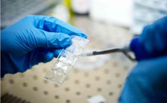 合肥901医院 试管 影响合肥三代试管包生男孩成功率的因素 ‘怀孕六个月彩超数据看男女’