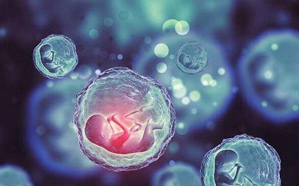 河南省能做试管的医院有哪些医院 2022河南省人民医院做三代试管筛查胚胎成功率高吗？ ‘代孕初期看孕囊是男孩’