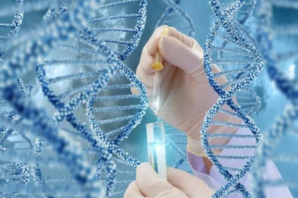 广东省三代试管 2023广东治疗单角子宫大概需要多少钱?附广东治疗单角子宫排名前十医院安利 ‘双顶径94股骨长77男孩女孩’
