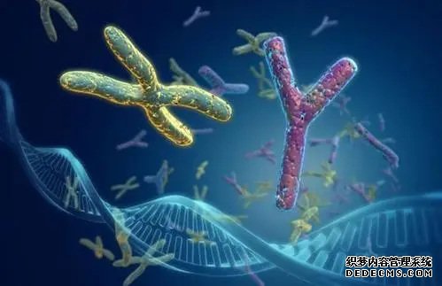 杭州供卵子受孕要多少费用 杭州生育津贴报销流程是怎样的？ ‘代孕三个月b超胎儿是躺着的是女孩男孩’