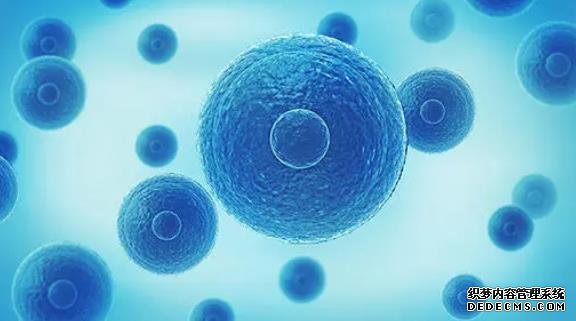 在武汉同济医院做三代试管婴儿的流程是怎样的？附2022最新成功率费用介绍-试管婴儿移植后能吃猪肝吗