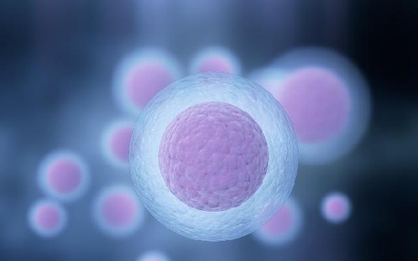 贵州三代试管 2022贵州包生男孩试管婴儿医院排名 ‘生完女孩肚型图’