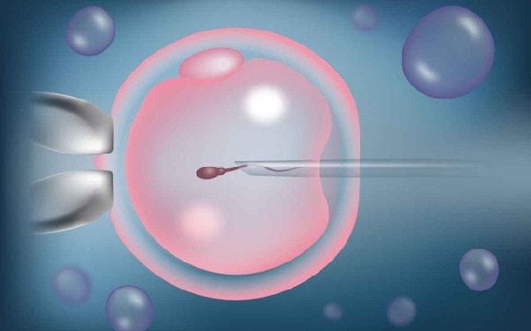  记录试管经历，希望能有好孕呀~