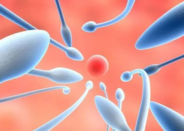 泰国试管婴儿流程关爱泰国十月幸孕「泰国试管」