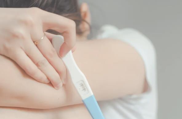 les试管婴儿国内(les试管婴儿经验分享)