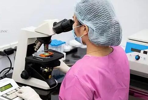 合肥如何寻找助孕 合肥105试管成功案例多么？影响试管成功的因素有哪些？ ‘男孩女孩其实b超单早已告诉你答案’