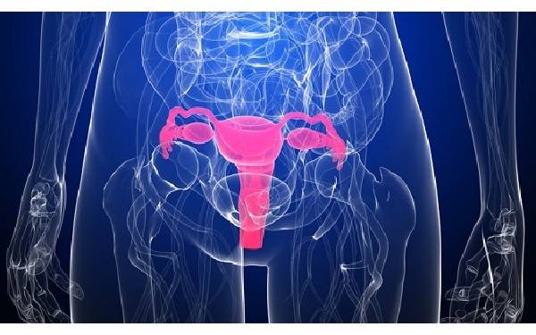 试管婴儿成功日记(连载篇)第四更