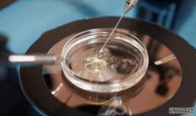 福州正规助孕 福州总院三代试管流程及费用标准参考 ‘6*6*4孕囊怎么看男女?’