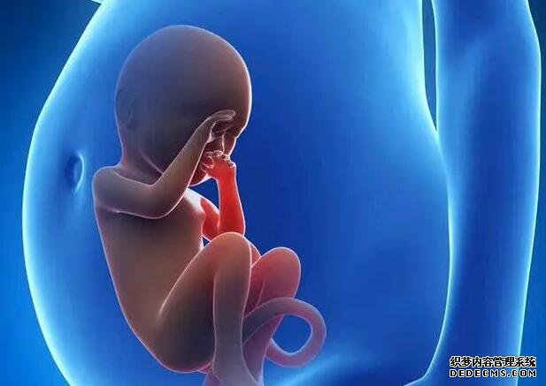 青岛借卵供卵试管价钱 青岛妇幼王静怡是不是行业专家？ ‘营口伊人26周四维看男女准么’