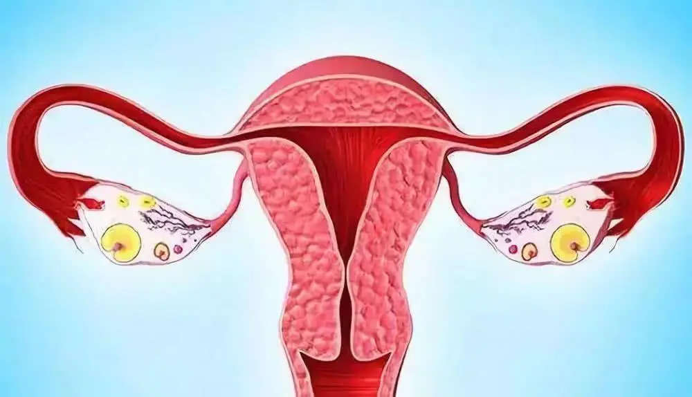 湛江哪间医院做试管婴儿好 湛江试管医院哪家强? ‘25周四维女宝翻盘实例’
