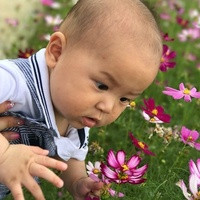拉萨试管供卵 西藏拉萨有正规的供卵助孕机构吗？ ‘儿子肚型和女儿肚型’