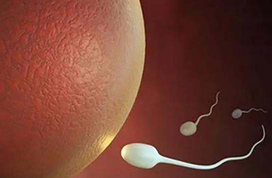 广西试管医院 广西壮族自治区人民医院 ‘怎样看b超双顶径看男女’