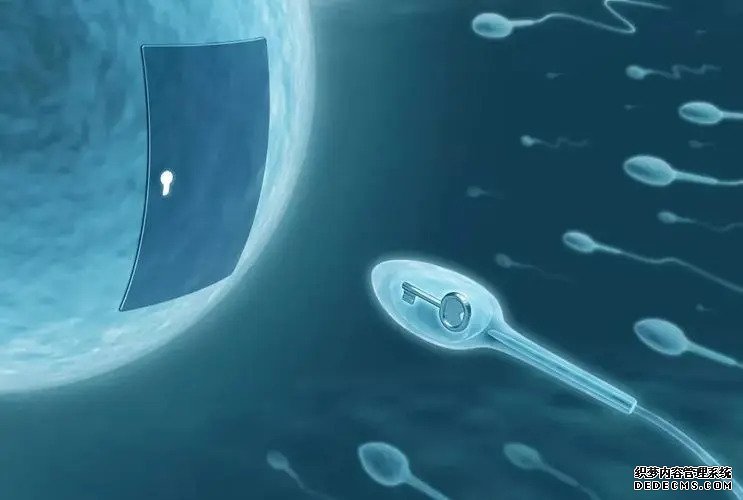 广州第三代试管医院 广州供卵试管试管婴儿医院排名，附供卵生男孩费用一览！ ‘彩超看孩子男女’