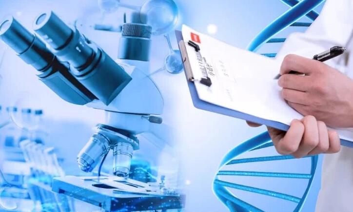 邵阳汇恩医院试管成功率 邵阳汇恩试管能选男女？一起来看看 ‘孕囊大小能否看男女’