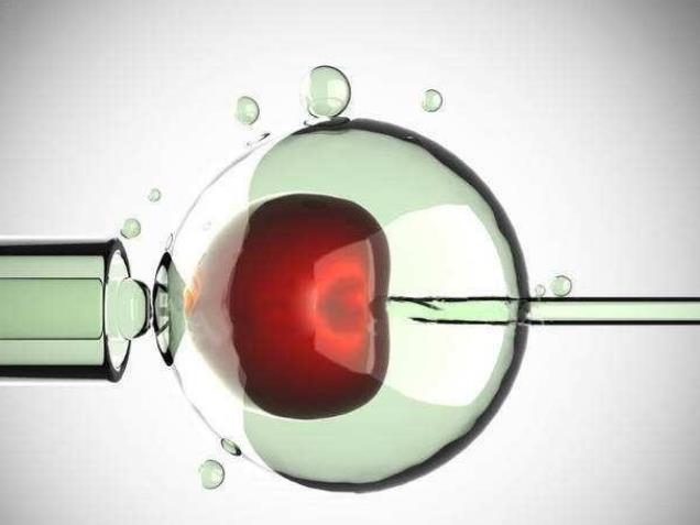 试管婴儿过程中 ，如何监测排卵？