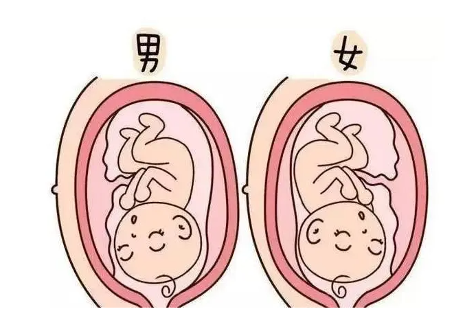 苏州试管供卵 苏州哪个医院做试管比较好? ‘孕囊6.3*3.0是男孩女孩’
