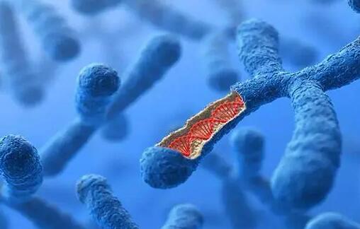 威海供卵试管 威海市妇幼保健院试管费用是多少 ‘怎么根据四维分辨怀的男孩