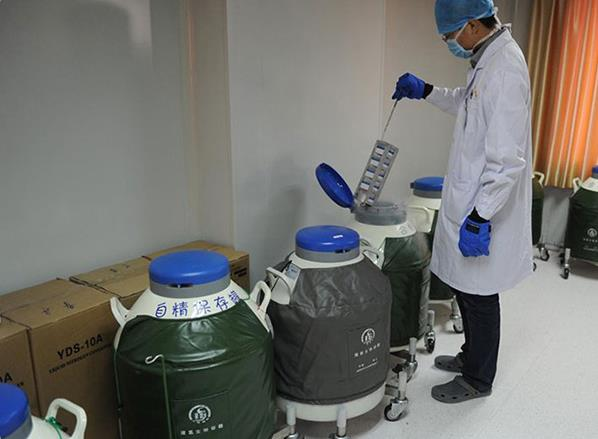 甘肃供卵试管 2023
甘肃省其他供卵试管医院推荐 ‘怎么从nt单数据看男女’