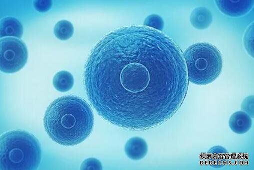 这四种类型的孕妇最容易生唐氏儿！特别是第一个