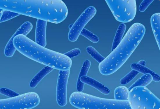 东莞试管成功率高吗？?,东莞30天生育奖励假遇到法定节假日会顺延吗？