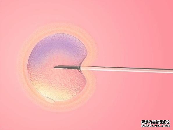 月子期间要饮食清淡，科学坚持才有助于身体恢复