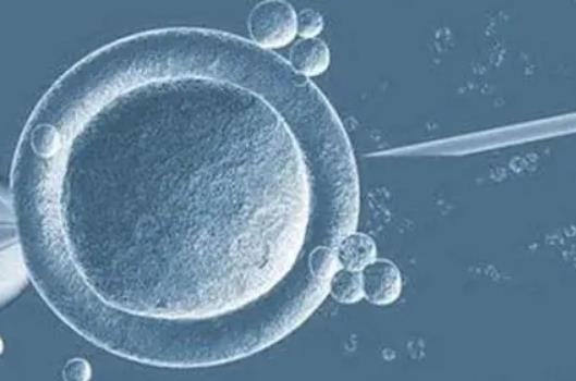 东莞试管在哪里 2023东莞私立医院做三代试管包生男孩要多少费用？ ‘孕囊40*26*16是男是女’