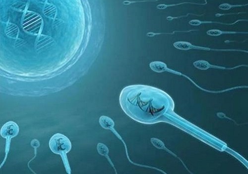 长沙福孕试管 长沙生育保险报销有什么条件？ ‘nt值2.1mm胎心163男孩女孩’