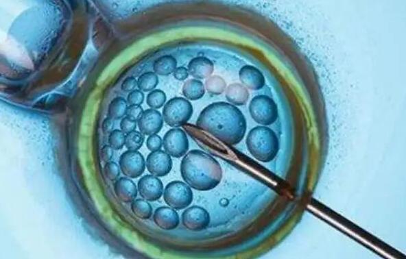 南昌代孕怎么联系 南昌可以做第三代试管婴儿?试管成功率怎么样? ‘孕10周b超可以看男女吗’