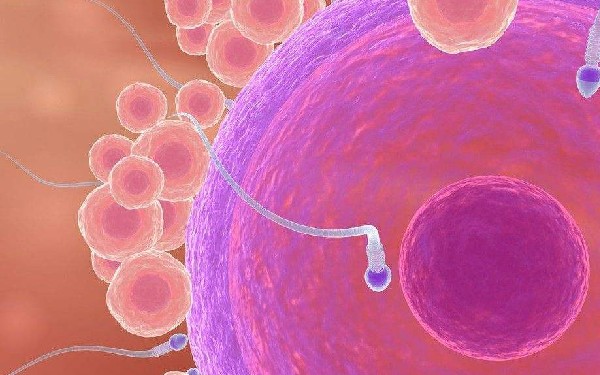 邵阳三代试管成功率找南方试管机构 2023年邵阳试管费用纳入医保了吗？ ‘孕妇初期梦到小女孩还有鱼是什么征兆’