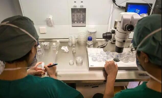 沈阳滑翔盛京医院做试管能办理住院吗 沈阳供精试管费用多少 ‘腰粗是测生男特征吗’