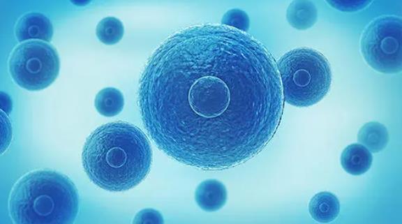 试管做昆明医院 大龄女性在昆明医科大学第一附属医院做三代试管多少钱？ ‘酒精判断男女’